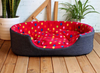 Beds For Small Dogs Pet