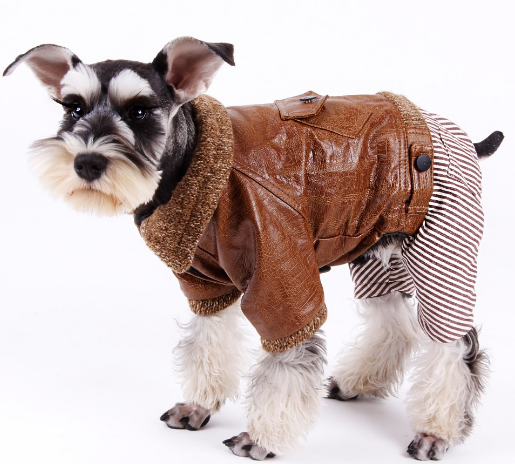 Winter Warm Clothing For Small Dog Puppy